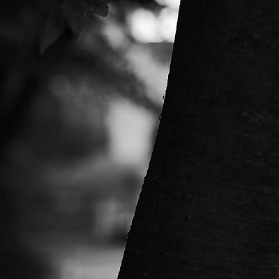 Uber Exif Photo